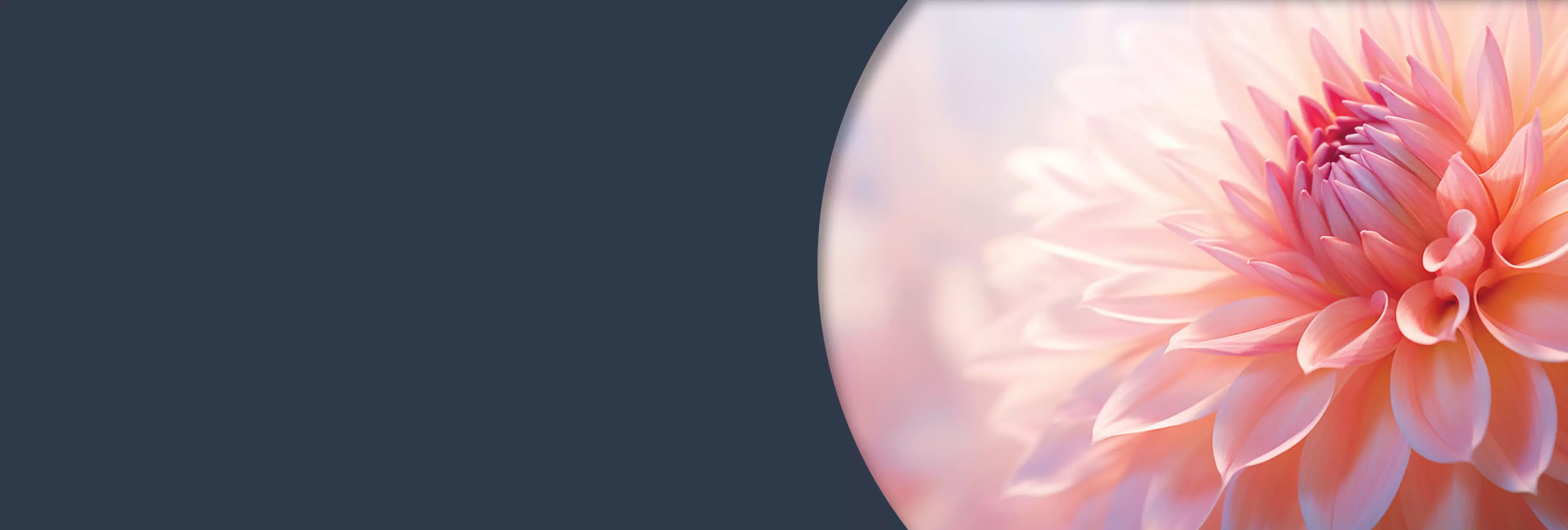 Pompes Funèbres Battavoine